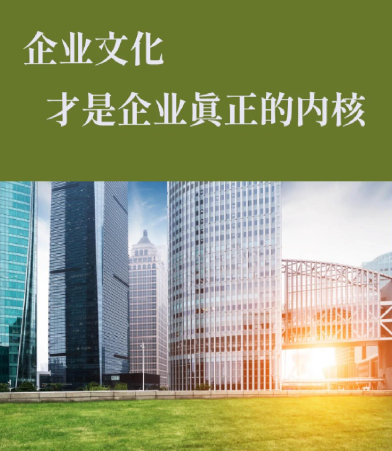 2024年WordPress主题插件兼容性评测：WP站长圈资源库实测数据